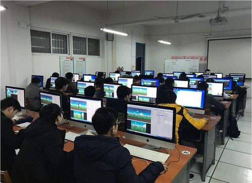 女大學(xué)生畢業(yè)收入排行榜揭曉 軟件工程榮登榜首，你的專業(yè)上榜了嗎？